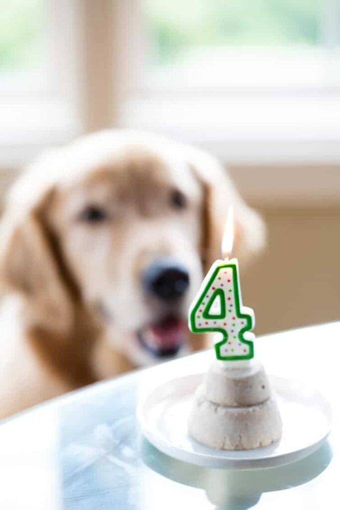 duke 4th birthday