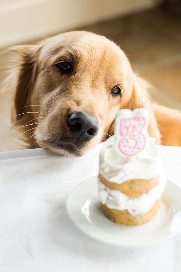 duke birthday cake 1