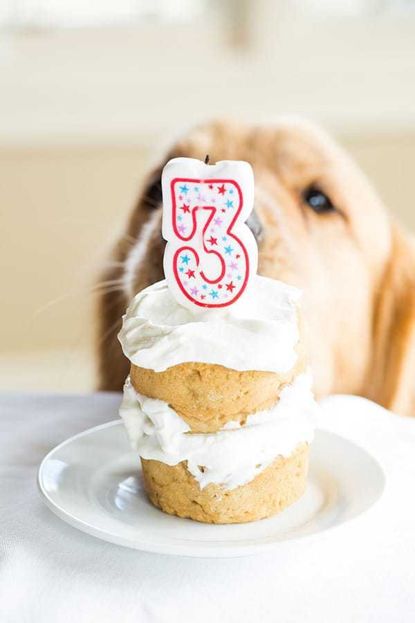 duke birthday cake 2