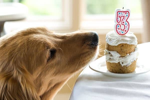 duke birthday cake 3