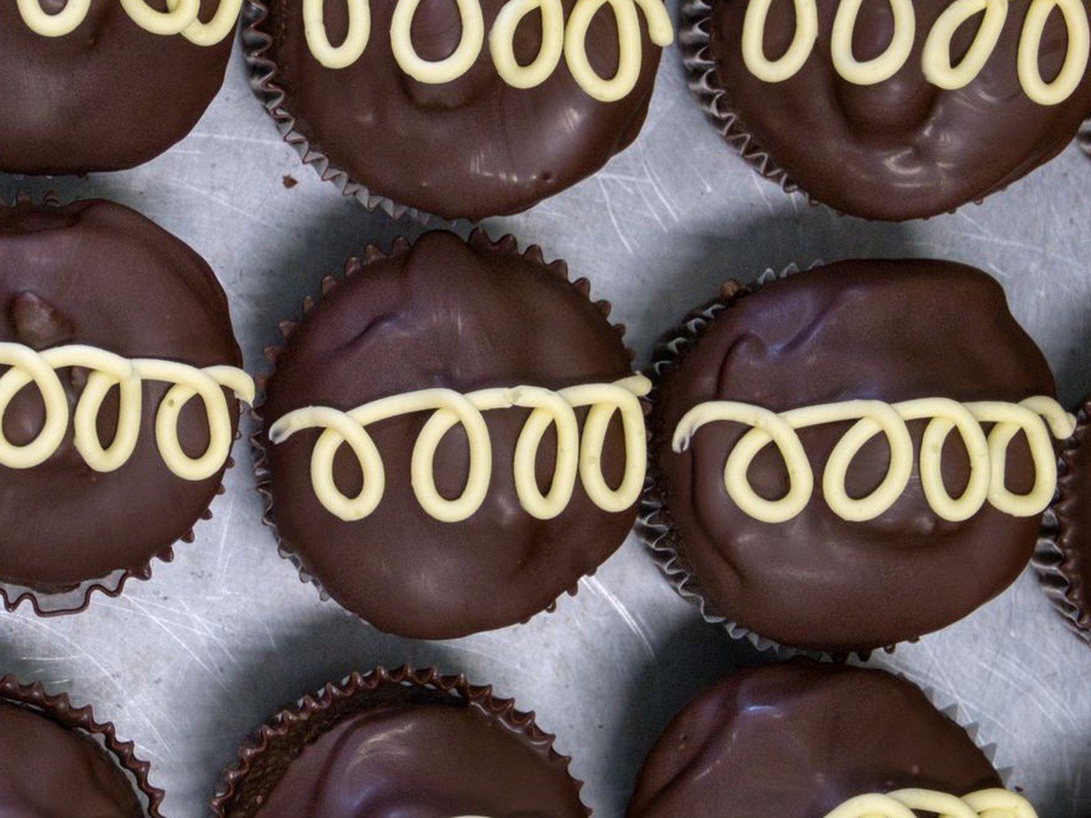 Boston Cream Pie Cupcakes (Easy 45-Minute Bakery-Style Dessert) 3 Boston cream pie cupcakes with chocolate ganache