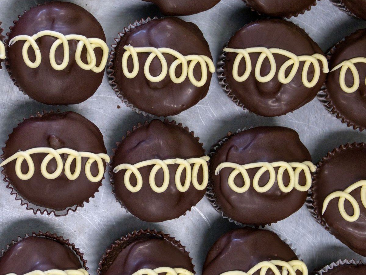 Boston Cream Pie Cupcakes (Easy 45-Minute Bakery-Style Dessert) 4 Boston cream pie cupcakes with chocolate ganache