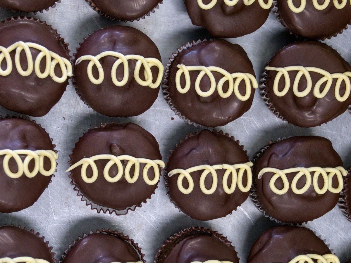 Boston Cream Pie Cupcakes (Easy 45-Minute Bakery-Style Dessert) 5 Boston cream pie cupcakes with chocolate ganache