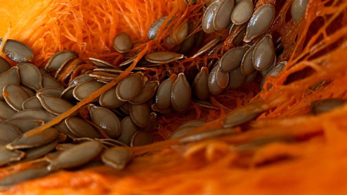 Air Fryer Roasted Pumpkin Seeds (3 Flavors — The Crunchy 20-Minute Halloween Snack) 6 Raw pumpkin seeds before roasting