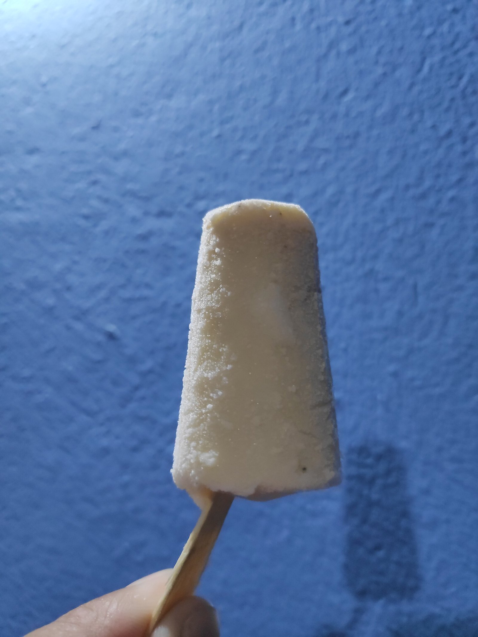 Kesar Pista Kulfi (Creamy, Slow-Simmered, With Saffron and Pistachio) 3 A plain kulfi pop served on a stick